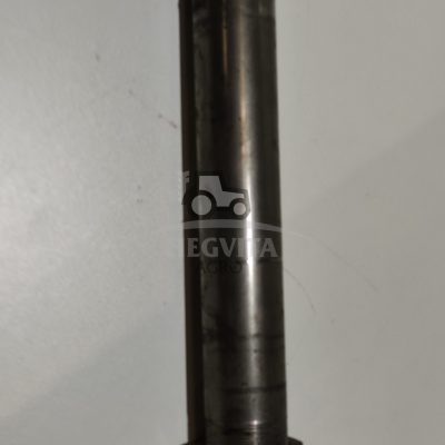Kaištis fi55