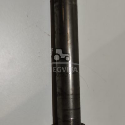 Kaištis fi55